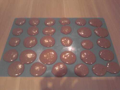 Macarons au chocolat fourré ganache choco - les délices d'ellena