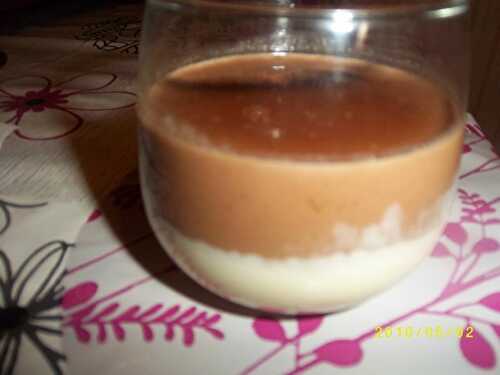 Panacotta aux deux chocolats