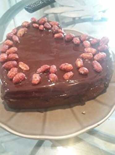 Gâteau au chocolat fondant  au companion (ou pas ) sans gluten .