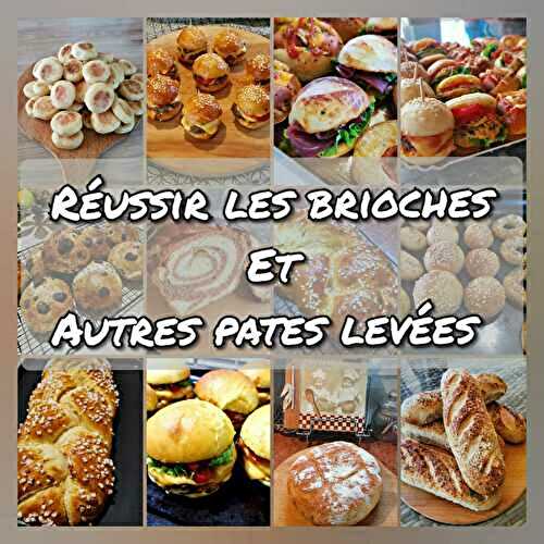 Bien réussir ses brioches et autres pâtes levées, guide complet