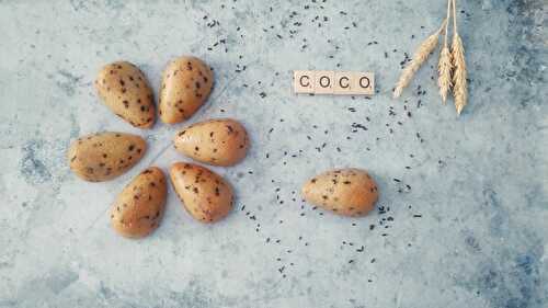 Petites pétales bombés noix de coco et chocolat 