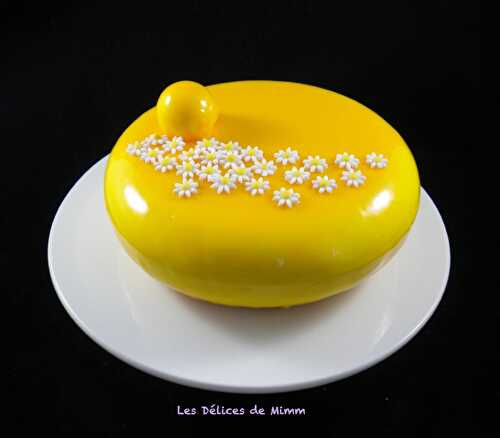 Entremets Soleil de Malibu