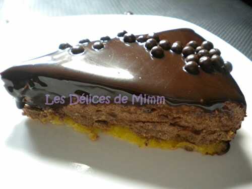 Gâteau royal praliné, mousse au Nutella - Les Délices de Mimm