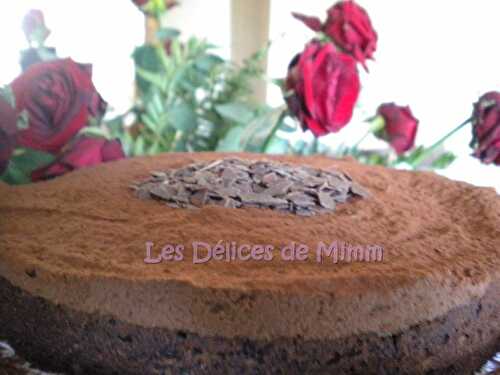 Gâteau tout chocolat (version bis) - Les Délices de Mimm