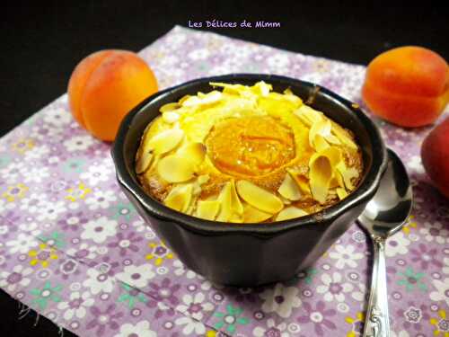 Moelleux aux abricots et aux amandes (sans beurre) - Les Délices de Mimm