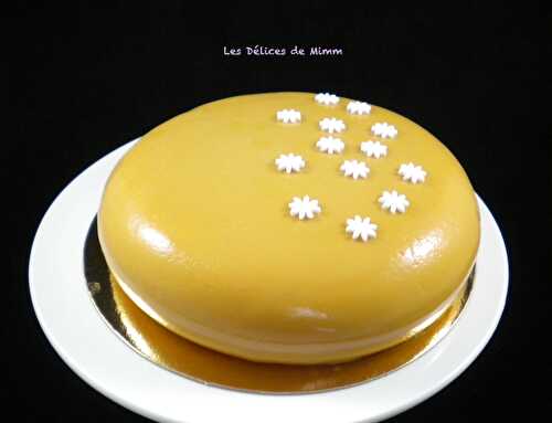 Mon entremets pommes, caramel et chocolat Dulcey