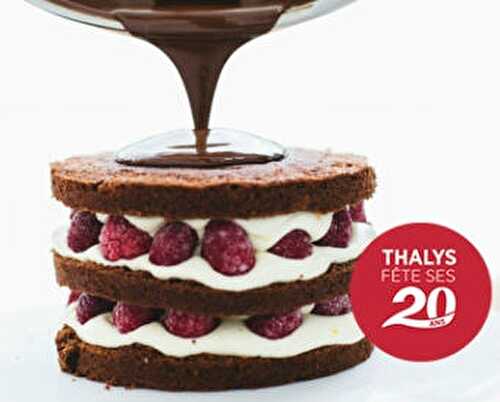 Un gâteau pour les 20 ans du Thalys ?
