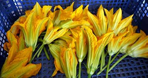 Beignets de fleurs de courgettes