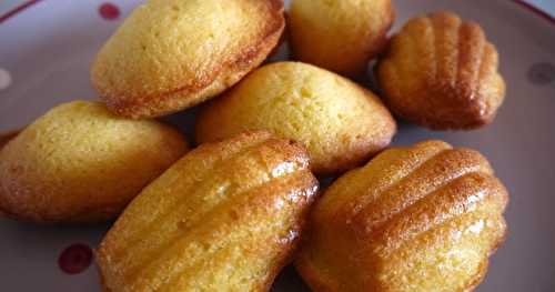 Madeleines hyper moelleuses à la vanille et au chocolat