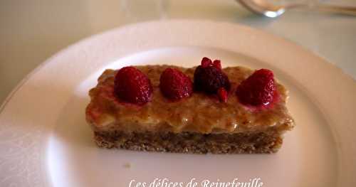 Tartelettes amandines aux framboises (crue, vegan et sans gluten)