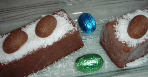 Terrine glacée noix de coco et chocolat