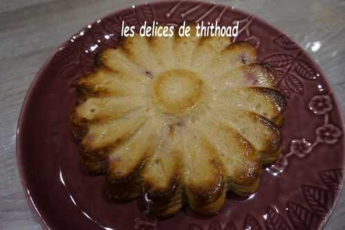 Gâteau léger au fromage blanc et framboises