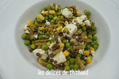 Salade de lentilles aux légumes