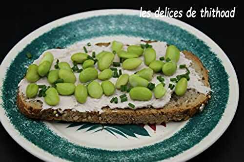 Tartines aux fèves et aux rillettes de thon