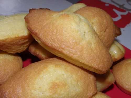 Mes madeleines nature ou au Nutella.... - Les délires de Vivi...