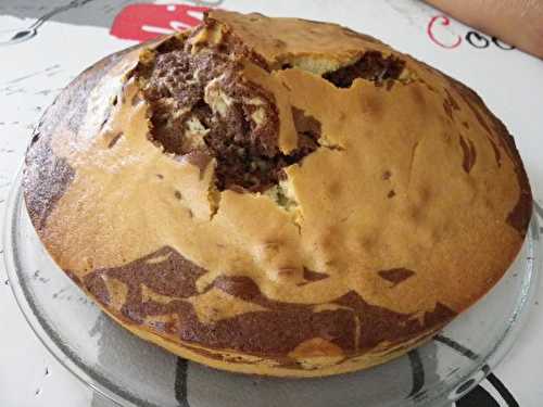 Mon gâteau zébré au Thermomix...... ou pas...... - Les délires de Vivi...