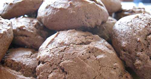 BISCUITS AU CACAO ET AU SON