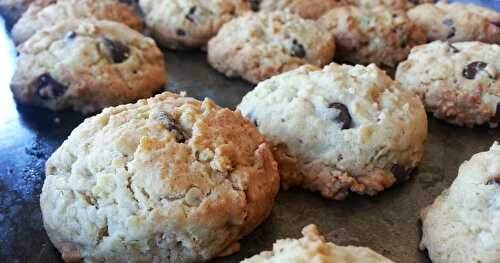 BISCUITS AU GRUAU ET PÉPITES DE CHOCOLAT