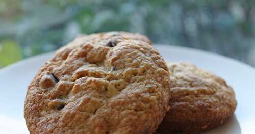 BISCUITS AU SON D'AVOINE ET POMMES