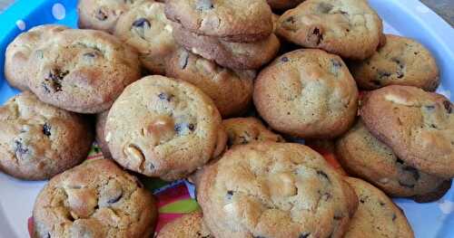 BISCUITS AUX PÉPITES DE CHOCOLAT, RAISINS ET ARACHIDES