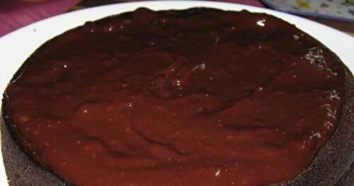 GÂTEAU FONDANT AU CHOCOLAT ET CANNEBERGES