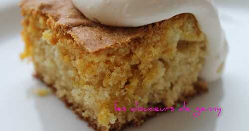 GÂTEAU MARBRÉ AU CARAMEL