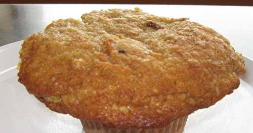 MUFFIN GRUAU ET CAROTTES