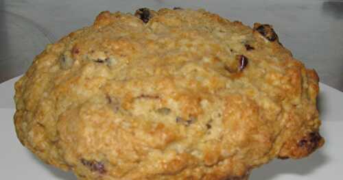 MUFFINS AU GRUAU ET CANNEBERGES