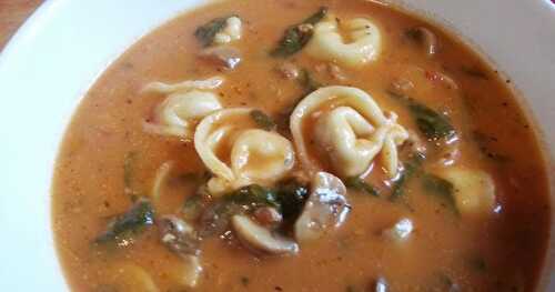   SOUPE REPAS AUX TORTELLINIS