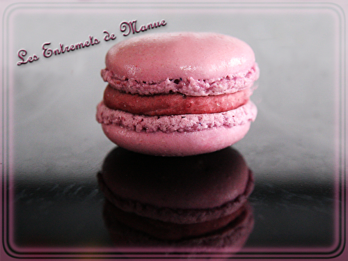 Macarons mûre violette