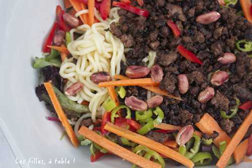 Boeuf croustillant, nouilles udon et salade – Partenariat Mr Min