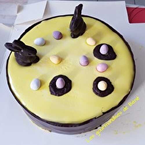 Entremet chocolat au lait/fruits de la passion