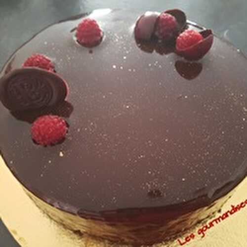 Entremet chocolat/framboises