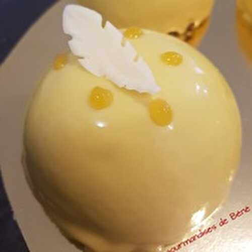 Entremet chocolat/fruits de la passion