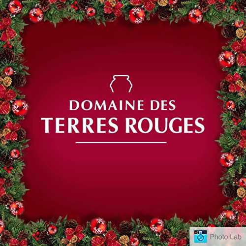 Les bonnes moutardes du Domaine Des Terres Rouges à gagner pour les fêtes , gourmandes à partager sans modération