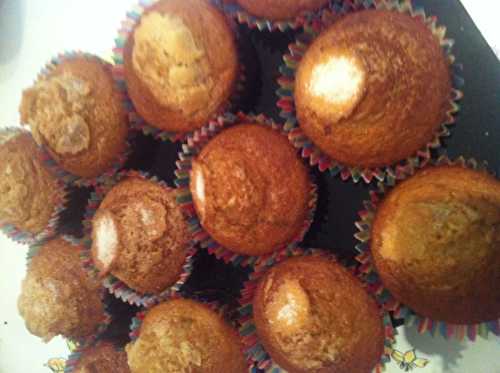 Madeleines espagnoles à la vanille et au sucre Muscovado équitable à 4 mains .