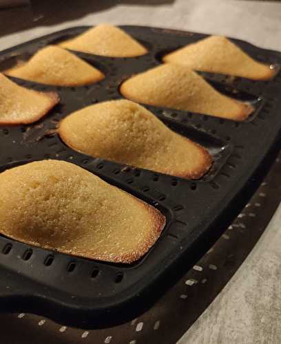 Mes madeleines sans gluten au citron ou vanille au cake factory.