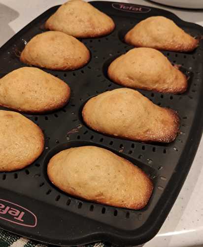 Mes madeleines sans gluten vanille au cake factory.