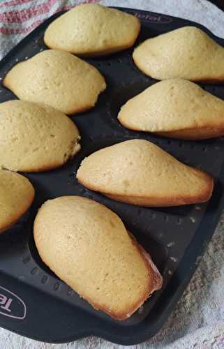 Mes madeleines vanille / miel sans gluten au cake factory.