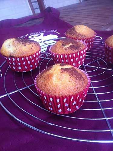 Petits muffins marbrés au chocolat noir Fleur de Sel . - Les Gourmandises de Bénédicte 