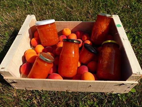 Confiture d'abricots