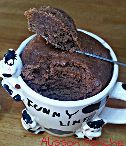 Mug cake à la pâte à tartiner