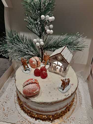 🎄 Naked cake de Noël 🎄