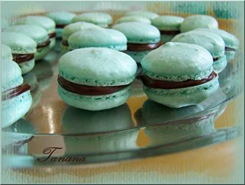 Mes 1er macarons