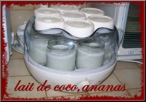 Yaourt lait de coco,ananas