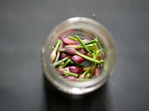 Boutons de fleurs de ciboulette au vinaigre. - Les Gourmands disent ...