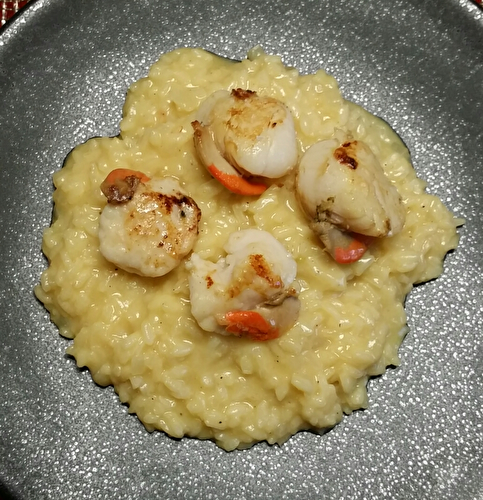 Coquilles Saint-Jacques et risotto au safran. - Les Gourmands disent ...