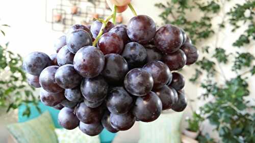 Premiers raisins sur nos marchés. - Les Gourmands disent ...