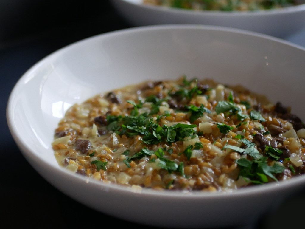 [Au royaume du faux] 🌾 🍽️ 🍄  Risotto de petit épeautre et mousserons.