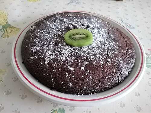 Gâteau moelleux au chocolat